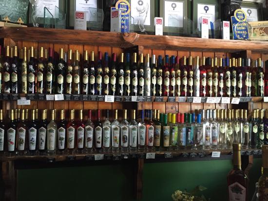 The Vino Bus - Winery Tours