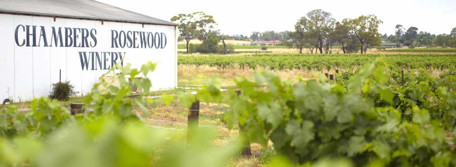 Rutherglen Winery Tour