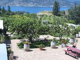Penticton Canada Winery Tour