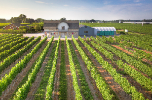 Ontario Canada Winery