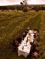 Daylesford Canada Winery Tour