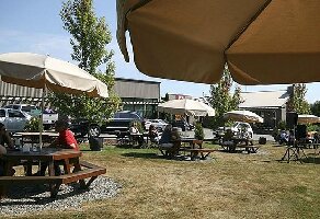 Langley Canada Winery Tour
