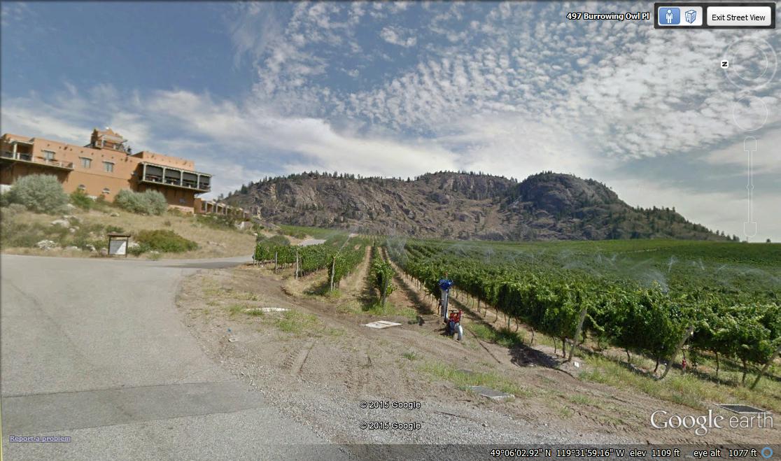 Burrowing Owl Estate Winery
