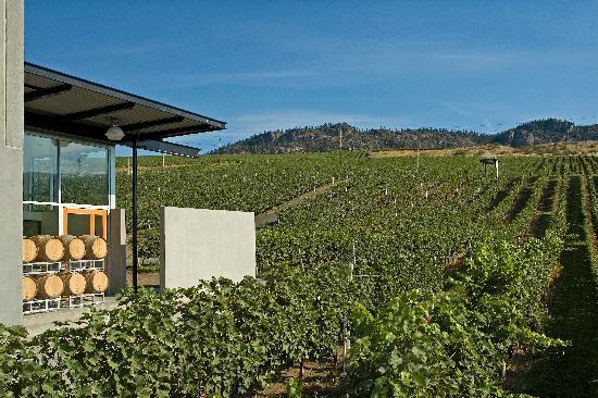 Black Hills Estate Winery
