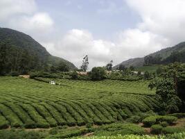 Theni India Mountain