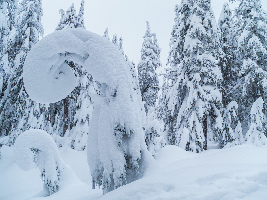 West Vancouver Canada Mountain