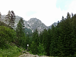 Zakopane Poland Mountain