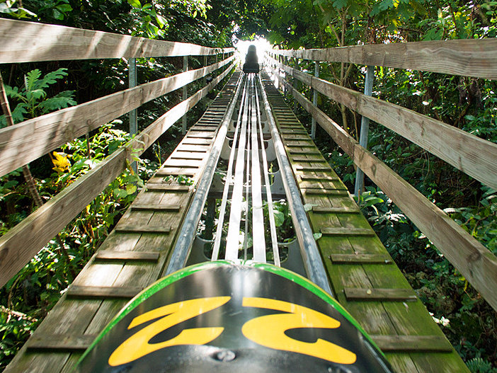 Rainforest Bobsled Jamaica at Mystic Mountain