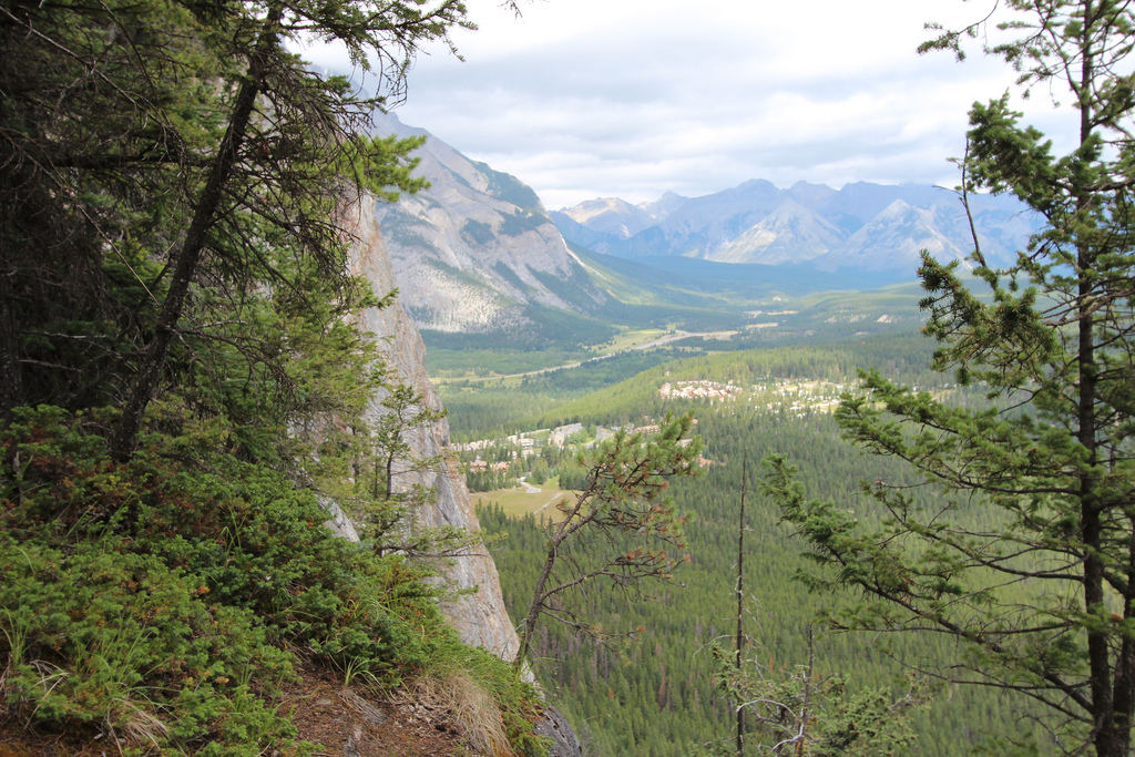 Tunnel Mountain Trail
