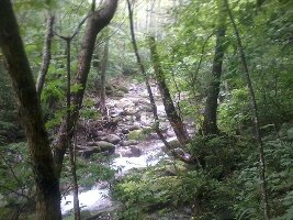 Vladivostok Russia Mountain