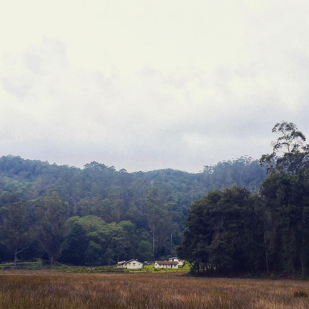 Kodaikanal Lake