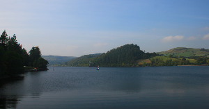 Llanwddyn Canada Lake