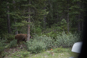 Alberta Canada Lake