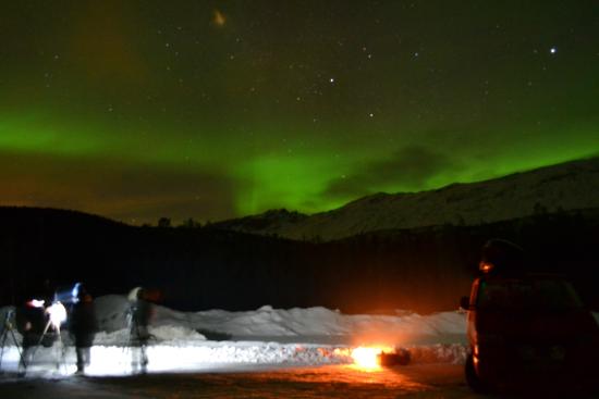 Arctic Experience Tromso