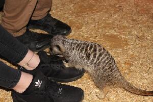 Ely England Experience