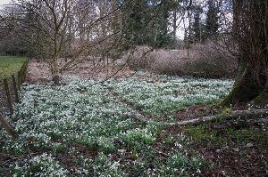 Balfron Scotland Experience