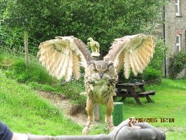 Machynlleth Canada Experience