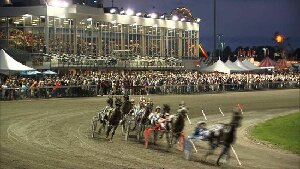 Stratford Canada Experience