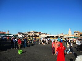 Nomade Experience Day Trips