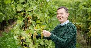 Weingut Nigl