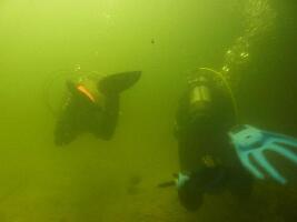 Magic Dive - Flusstauchen am Traunfall