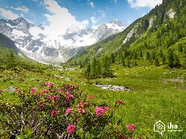 Book Transfer Austria