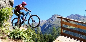 Tirol Austria Pub