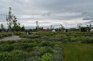 Rudolf Bednar Park