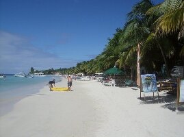 West Bay Honduras Dive
