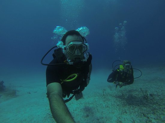 Pluto Dive