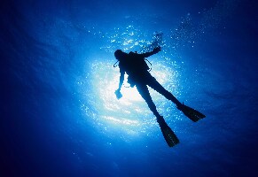 Dive and Dive Centro de Buceo