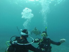 Espiritu De Buceo Padi 5 Star Dive Centre