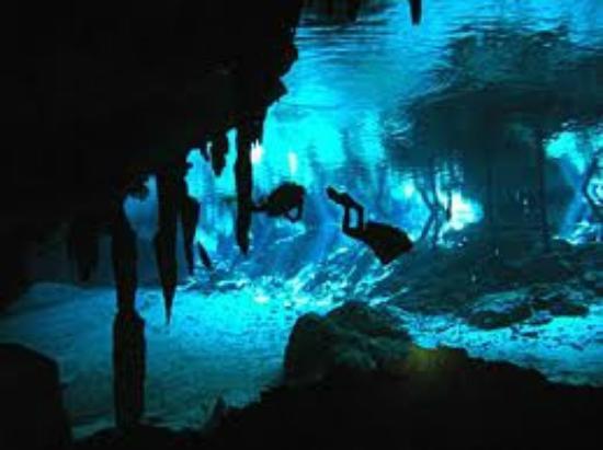 Cenote Scuba Dive Center