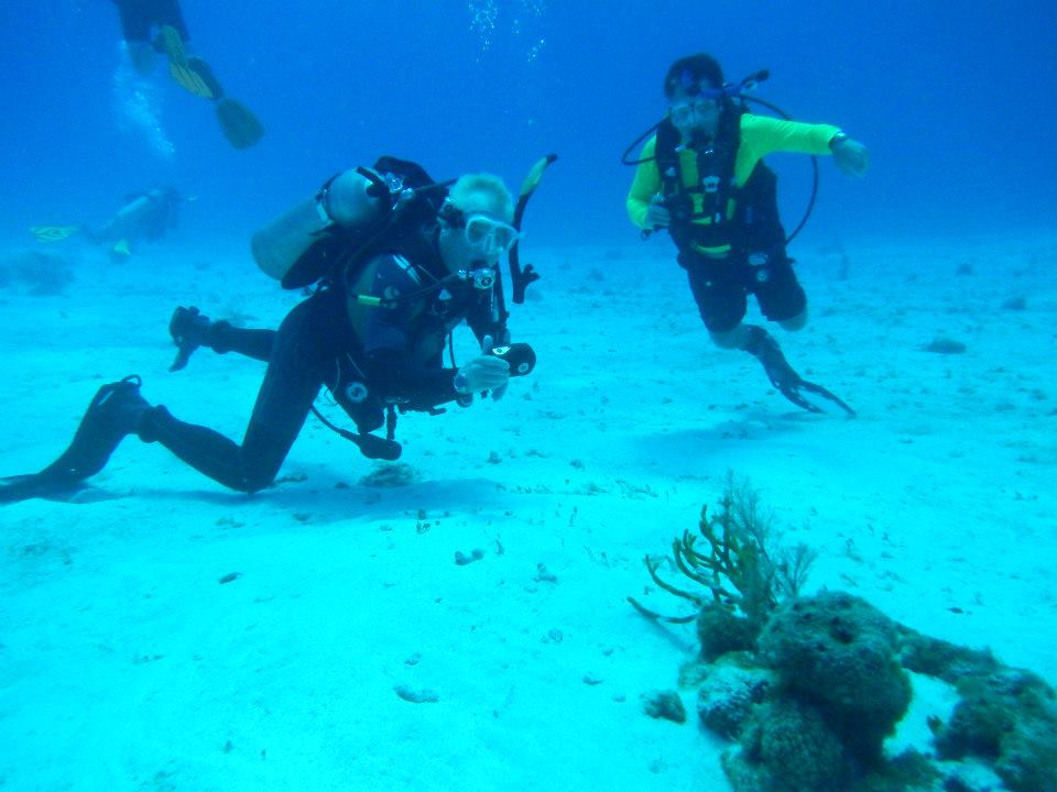 Dive Cooperative