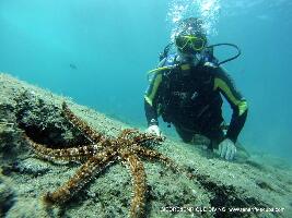 Los Cristianos Spain Dive