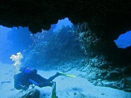 Arona Spain Dive