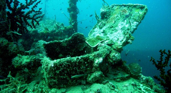 Rocksteady Dive Center