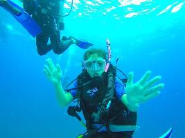 Dive Safaris