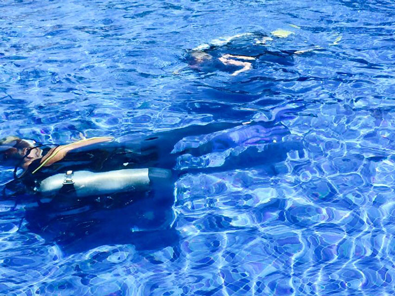 Dive Aventuras
