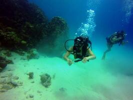 Sharky Dive Shop