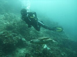 Corto Divers Dive Centre