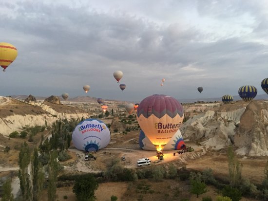 Rainbow Balloons