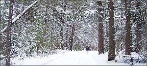 Base de Plein air Saint-Lazare