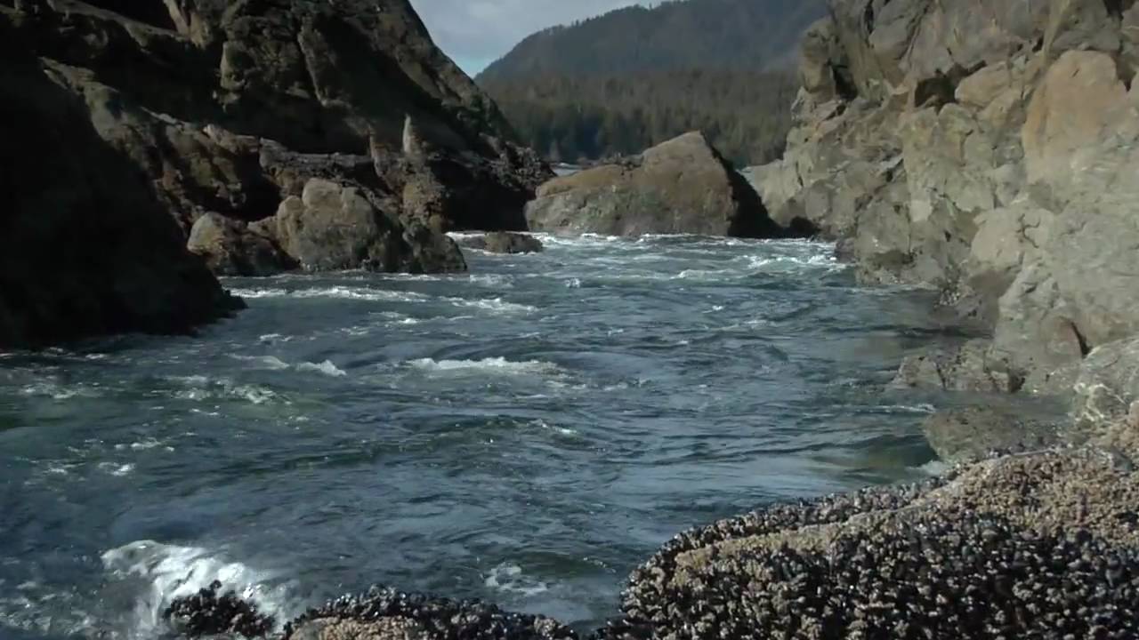 Hot Springs Cove