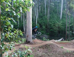 Pemberton Mountain Bike Park