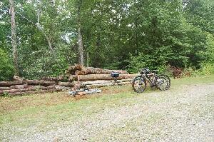 Pisgah Forest United States Farm