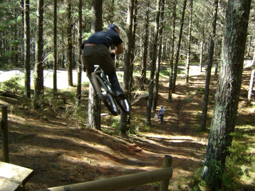 Mountain Bike Rotorua- Day Tours