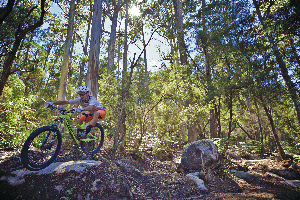 Derby Australia Mountain
