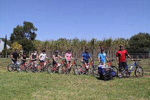 Bunyip Bike Tours