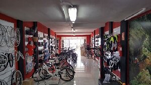 Pedalis Bike Rental
